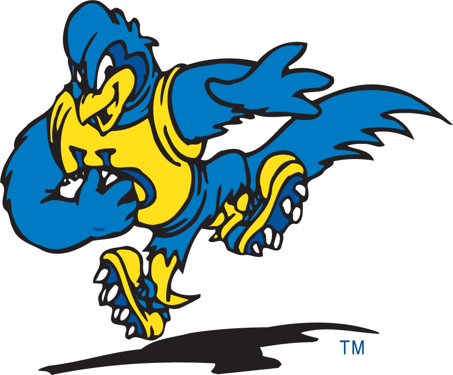 Delaware Blue Hens 1999-2009 Mascot Logo v11 t shirts iron on transfers